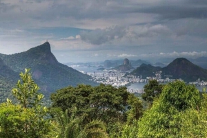 Hiking Tour in Tijuca Forest: Waterfalls, Views & Picnic