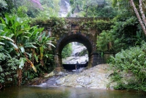 Hiking Tour in Tijuca Forest: Waterfalls, Views & Picnic