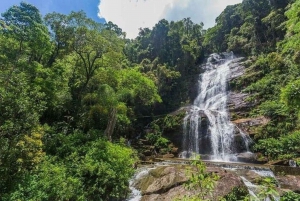 Hiking Tour in Tijuca Forest: Waterfalls, Views & Picnic