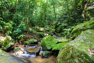 Hiking Tour in Tijuca Forest: Waterfalls, Views & Picnic