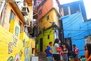 Rocinha Favela Guide Tour (with transportation)
