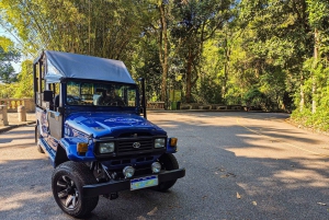 Rocinha Jeep Tour: A Journey into the Soul of the Favela!