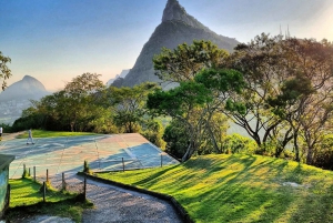 Rocinha: Walking tour