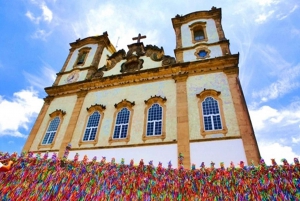 Salvador: City Highlights Private Tour