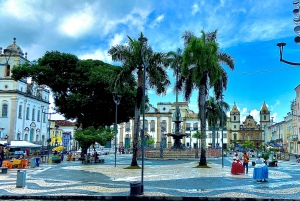 Salvador: City Highlights Private Tour