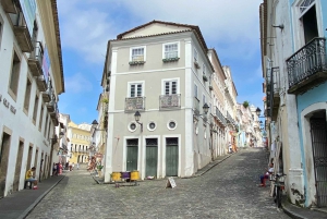 Salvador: City Highlights Private Tour