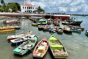 Salvador: City Highlights Private Tour