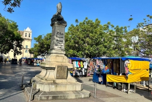 Salvador: City Highlights Private Tour