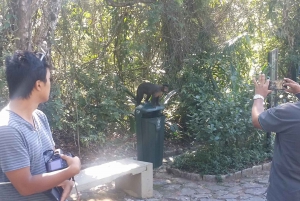 Santa Teresa & Tijuca Forest Private Tour - by Alan Denis