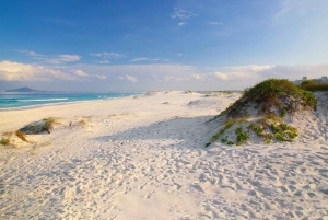 Seaside Cabo Frio: Private City Tour and Natural Paradises