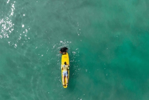 Surf lessons: in Arpoador in Ipanema.