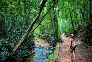 Tijuca Forest: Adventure & History Half-Day Hike