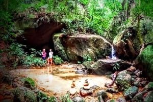 Tijuca Forest: Adventure & History Half-Day Hike