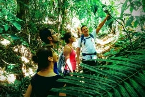 Tijuca Forest: Adventure & History Half-Day Hike