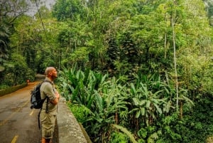 Tijuca Forest: Adventure & History Half-Day Hike