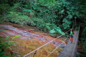 Tijuca Forest: Adventure & History Half-Day Hike