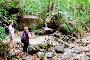 Tijuca Forest: Adventure & History Half-Day Hike