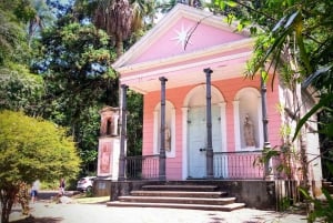 Tijuca Forest: Adventure & History Half-Day Hike