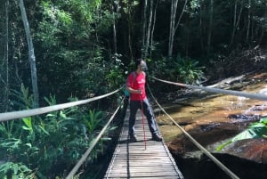 Tijuca Forest: Adventure & History Half-Day Hike
