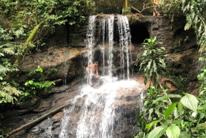 Tijuca Forest´s hike: caves, waterfalls and great views