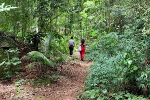 Tijuca Forest´s hike: caves, waterfalls and great views