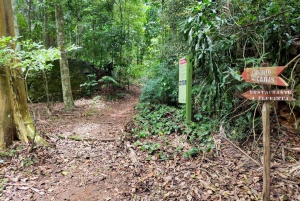 Tijuca Forest´s hike: caves, waterfalls and great views