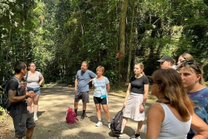 Tijuca Forest´s hike: caves, waterfalls and great views