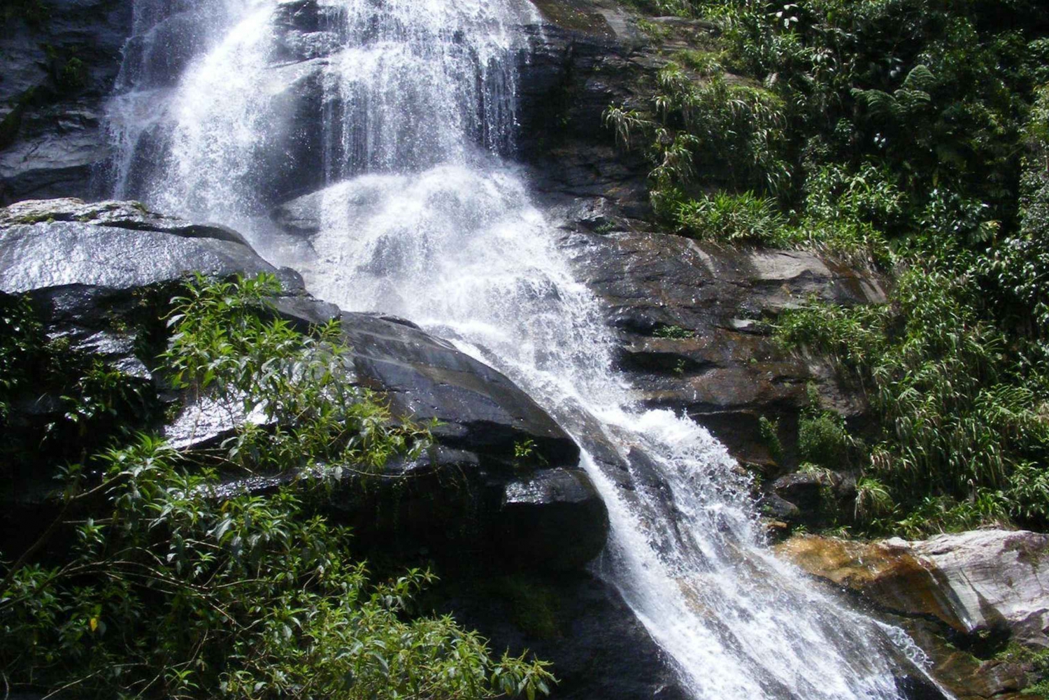 Tijuca Forest Tour