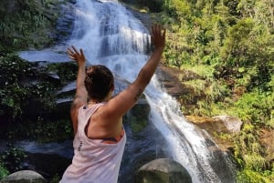 Tijuca National Park and all its wonders!