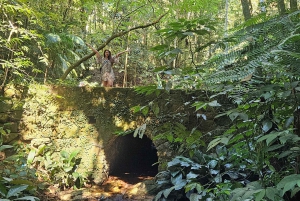 Tijuca National Park and all its wonders!