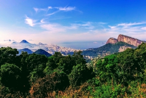 Tijuca National Park Small-Group Hike to Pedra Bonita