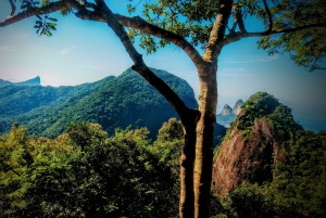 Tijuca National Park Small-Group Hike to Pedra Bonita