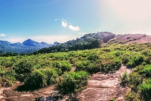 Tijuca National Park Small-Group Hike to Pedra Bonita