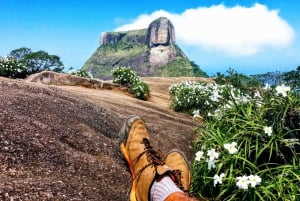 Tijuca National Park Small-Group Hike to Pedra Bonita