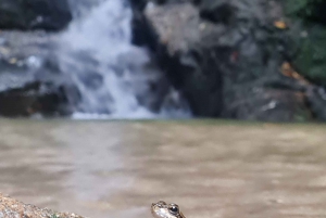 Tijuca Rain Forest - Adventure through Waterfalls & Caves