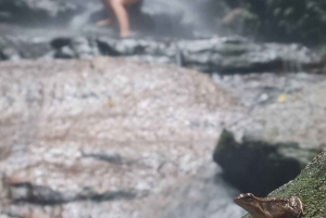 Tijuca Rain Forest - Adventure through Waterfalls & Caves