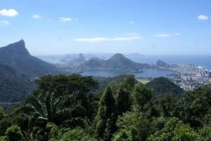 Rio de Janeiro: Guided Jeep Tour through Tijuca Rainforest