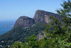 Rio de Janeiro: Guided Jeep Tour through Tijuca Rainforest