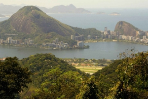 Rio de Janeiro: Guided Jeep Tour through Tijuca Rainforest