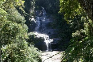 Rio de Janeiro: Guided Jeep Tour through Tijuca Rainforest