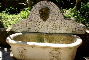 Rio de Janeiro: Guided Jeep Tour through Tijuca Rainforest