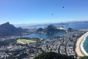 Tour on the Two Brothers Trail in Vidigal