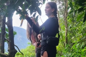 Tour on the Two Brothers Trail in Vidigal