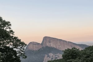 Tropical escape: Ilha Gigoia and Tijuca Forest in one day!