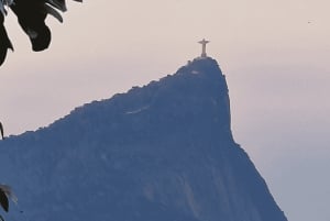 Tropical escape: Ilha Gigoia and Tijuca Forest in one day!