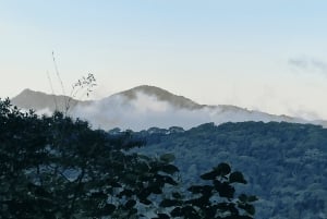 Tropical escape: Ilha Gigoia and Tijuca Forest in one day!