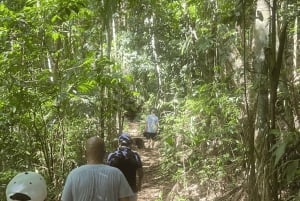 Tropical escape: Ilha Gigoia and Tijuca Forest in one day!