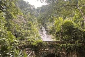 Tropical escape: Ilha Gigoia and Tijuca Forest in one day!