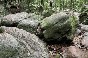 Tropical escape: Ilha Gigoia and Tijuca Forest in one day!