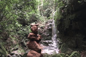 Tropical escape: Ilha Gigoia and Tijuca Forest in one day!